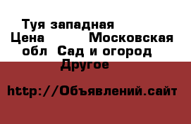  Туя западная Smaragd › Цена ­ 450 - Московская обл. Сад и огород » Другое   